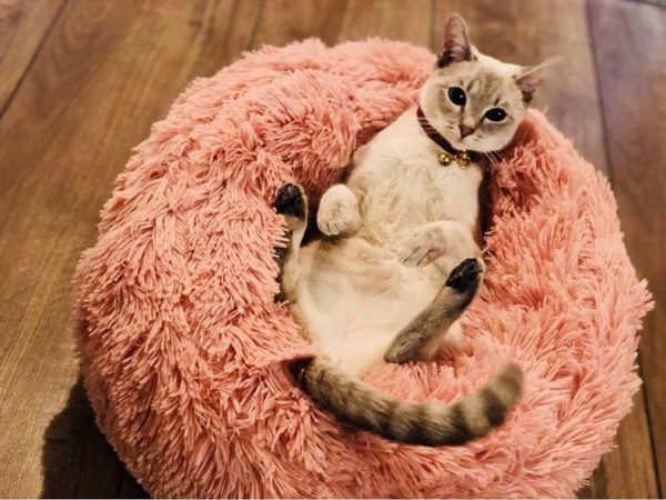 Pet's Round Shaped Fluffy Bed - Image 5